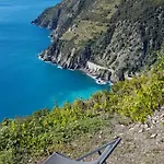 Agave Di Mare Nyaraló *